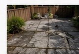 Backyard project before